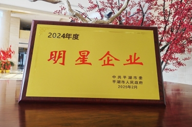 新春新景新形象 | JDB电子纸业在平湖三干大会上喜摘荣誉！
