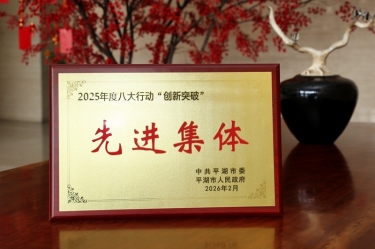策马扬鞭启新程！JDB电子纸业在平湖市三级干部大会上荣获“创新突破”双项荣誉